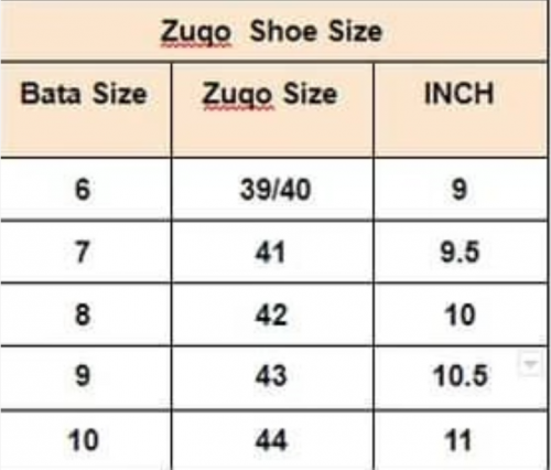 Sneaker - Ash Dragon